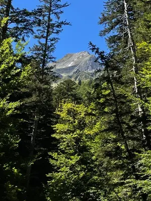Paisaje cerca de este apartamento
