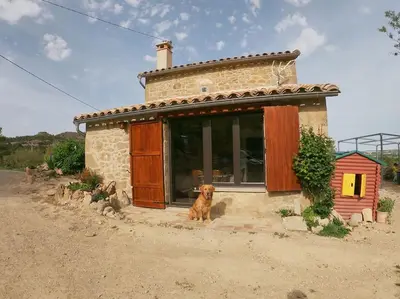 Mascotas con sus dueños en Cal Sastre