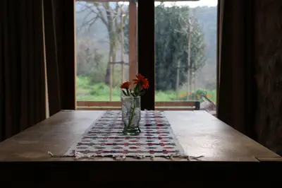 Plano de Casa ecológica en plena naturaleza