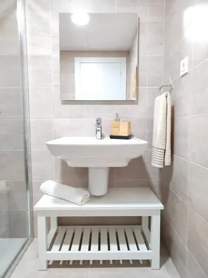 Un baño de Jardín Araguás