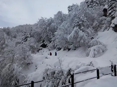 HOTEL EL Alboroque en invierno
