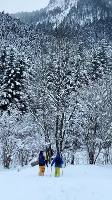 Apartamentos Deth Camin Reiau en invierno
