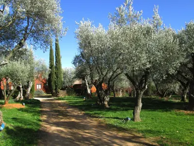 Jardín al aire libre en Camping Alquézar