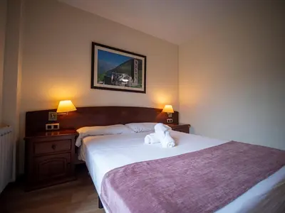Cama o camas de una habitación en Hotel Romànic