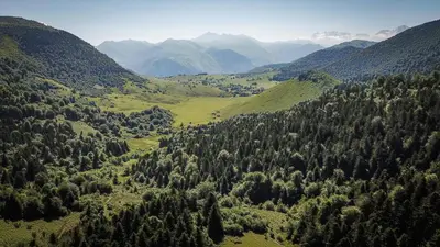 Paisaje cerca de este hotel