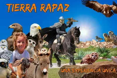 Animales en el hotel o alrededores
