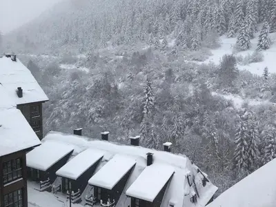 ESCORNACRABES de Alma de Nieve en invierno
