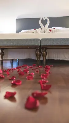 Plano de Hotel & Spa Real Badaguás Jaca