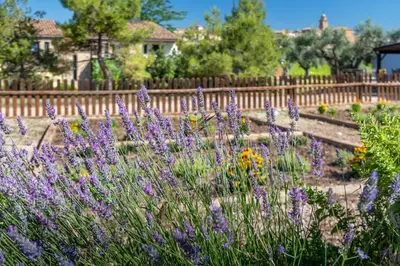 Jardín al aire libre en Hotel & Resort Vilar Rural d'Arnes by Serhs Hotels