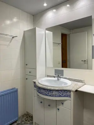 Un baño de Apartamento Arce II en al Valle de Benasque