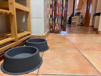 Zona de estar de Apartament Boet - Ainet de Cardós - L'Amfitriona