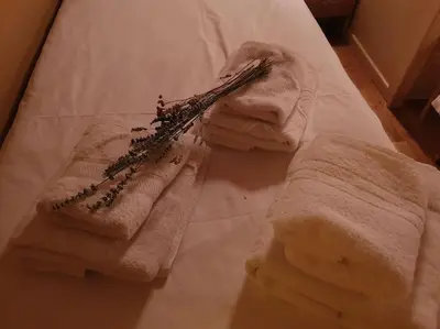 Cama o camas de una habitación en DUPLEX ABUHARDILLADO EN ESTERRI d'ÀNEU