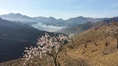 Paisaje cerca de este apartamento