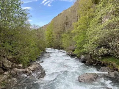 Paisaje cerca de este apartamento