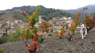 Paisaje cerca de este apartamento