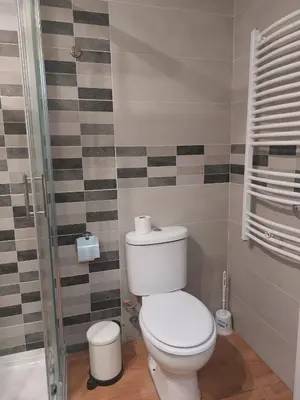 Un baño de Apartamento Zaragoza Plaza Europa