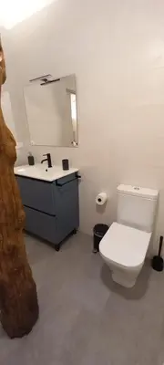 Un baño de Apartamentos en Baztan HIRU KABI, HIGA