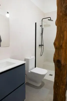 Un baño de Apartamentos en Baztan HIRU KABI, HIGA