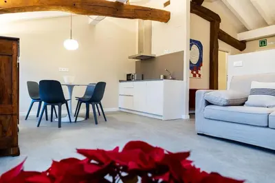 Una cocina o zona de cocina en Apartamentos en Baztan HIRU KABI, BAGA