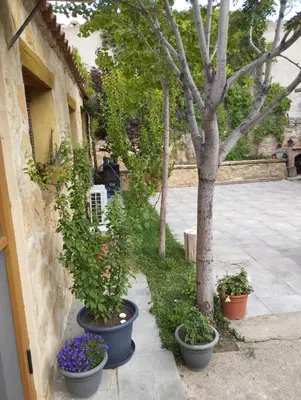 Jardín al aire libre en Casa rural El olivo