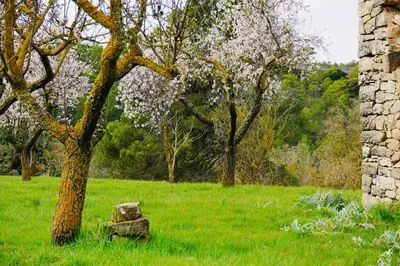 Jardín al aire libre en La Guinda de Cal Talaia