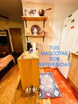 Una cocina o zona de cocina en Apartamento Alberto